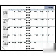 Day minder G450-00: pocket monthly planner, 2009
