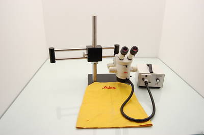Leica MZ6 stereo microscope, schott fostec ace light