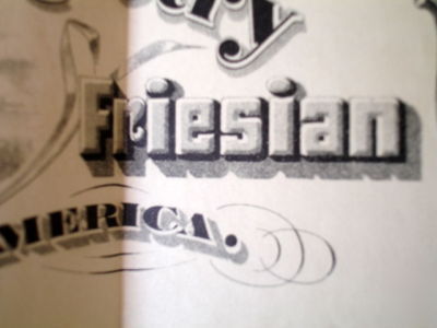 1918 holstein friesian cow registry certificate~calif