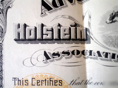 1918 holstein friesian cow registry certificate~calif