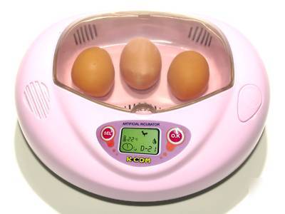 Three egg mini incubator ( for hatching eggs) 