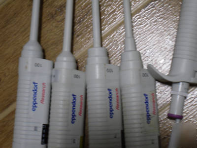 Lots of eppendorf pipettes(21PCS+rack free+2PCS free)