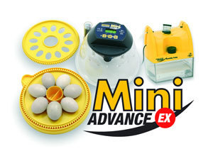 Quality brinsea mini advance ex autoturn egg incubator
