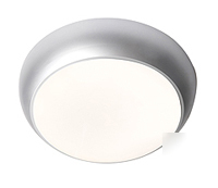 Robus satin silver 28W 2D ceiling golf light fitting