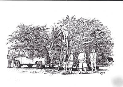 Forestry and agriculture, timber crane winches chainsaw