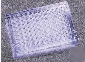 Bd falcon 96-well cell culture plates, bd biosciences