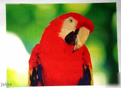 Konica minolta cf 3102 color copier print scan only 39K