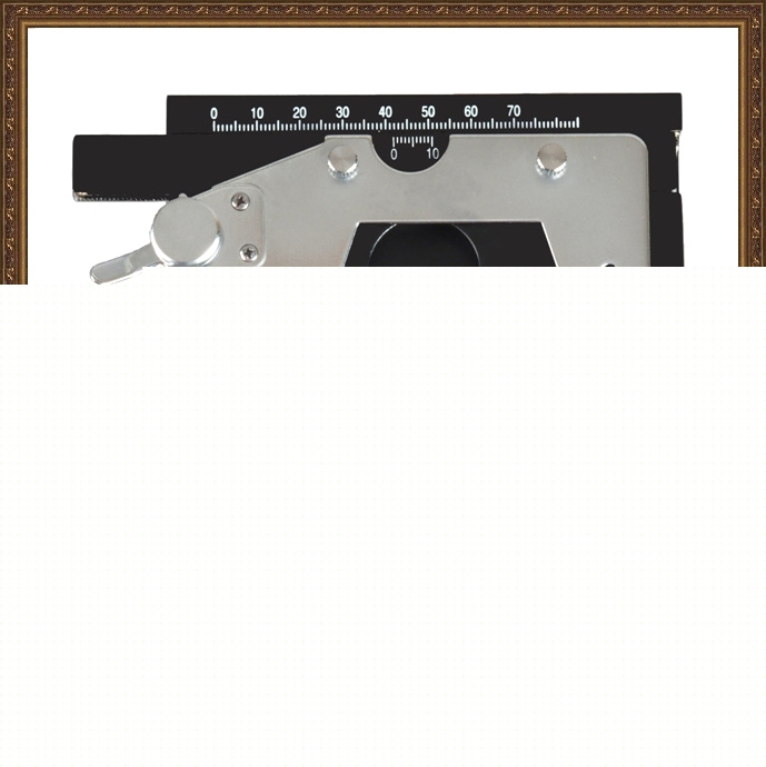 Double layer mechanical stage for biological microscope