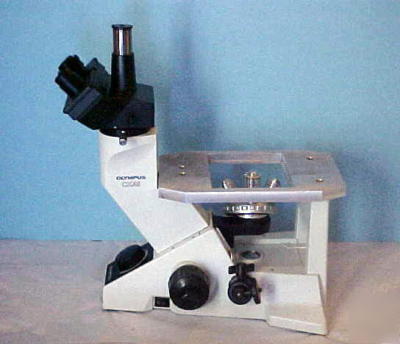 Olympus microscope CK40 inverted