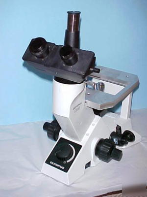 Olympus microscope CK40 inverted