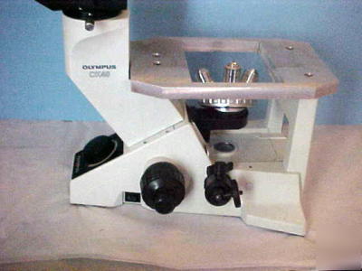 Olympus microscope CK40 inverted