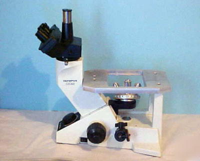 Olympus microscope CK40 inverted