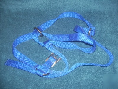 Htc cow stall halter l large blue