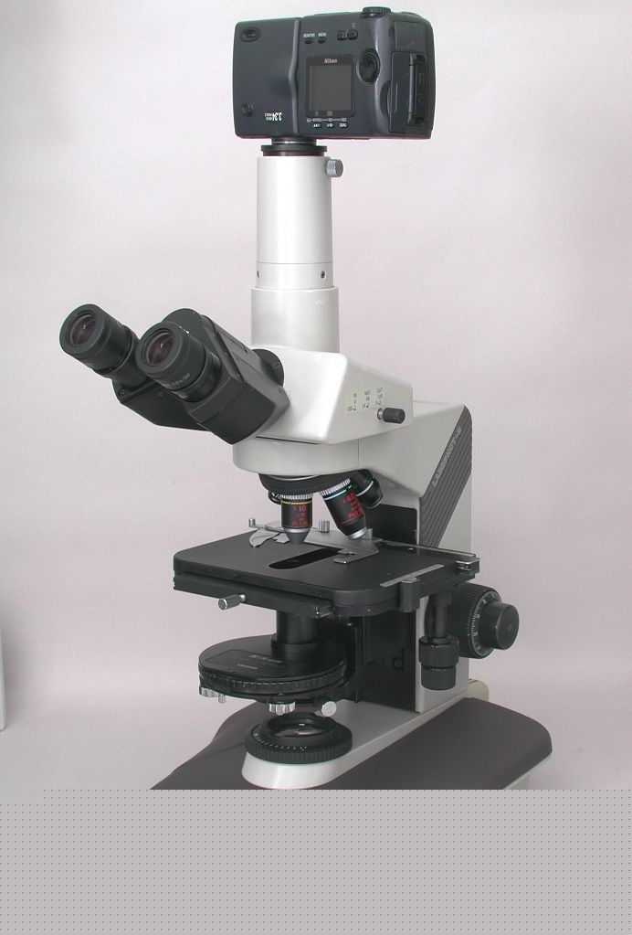 Nikon labophot 2 phase microscope w/camera options