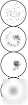 Arlington rpr test cards and pipets, asi 906030-b 30