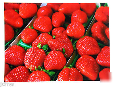 Konica minolta C351 color copier printer scan 80K