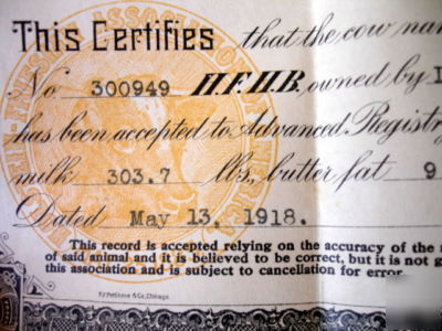 1918 holstein friesian cow registry certificate~calif