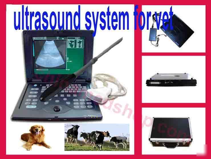 Veterinary portalble ultrasound scanner system rectal