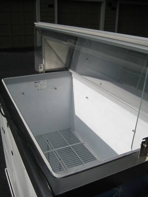 Deluxe ice cream dipping/display merchandiser