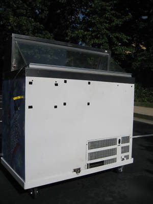 Deluxe ice cream dipping/display merchandiser