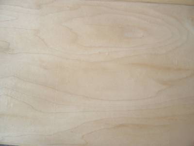 12 sheets thick wide maple veneer 9