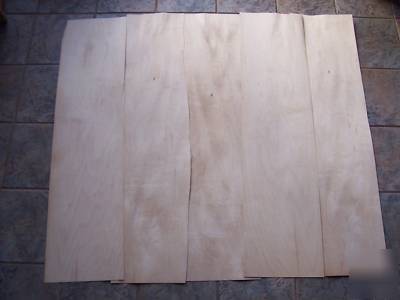 12 sheets thick wide maple veneer 9