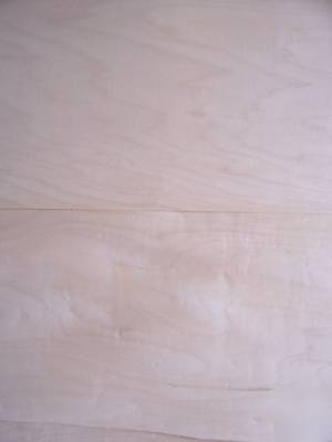12 sheets thick wide maple veneer 9