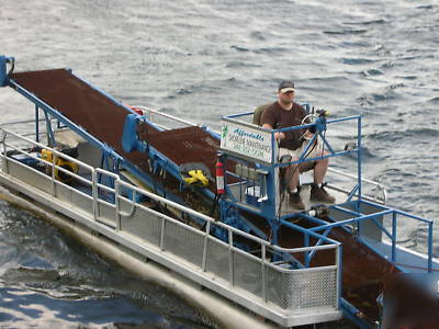Sea weed cutter,harvester, great business opportunity l
