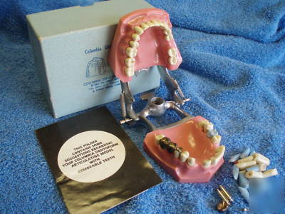 Columbia dentoform corp. practice teeth 2