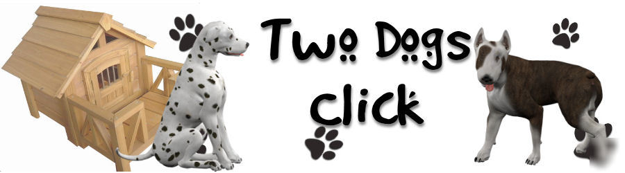 Unlimited website traffic hits for 1 year