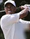Tiger woods classic domain names
