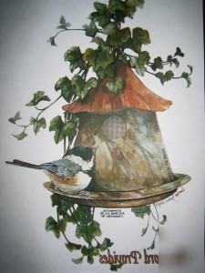 Primitive collection #2~ birds & country~heat transfers