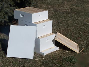 New 5 complete bee hives beekeeping beehives