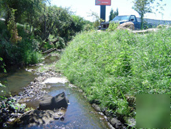 Green, vegetated retaining wall or vertical garden