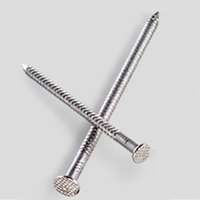 Swan secure products 8D ss deck/common nail 1LB
