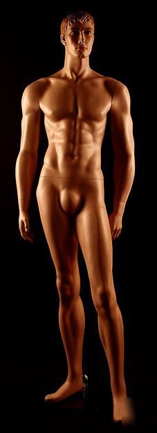 Full size mannequin for sale, amt male mannequin- jim