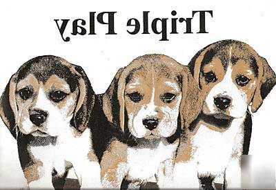 Nine- puppy/fluffy dog collection - one of each 