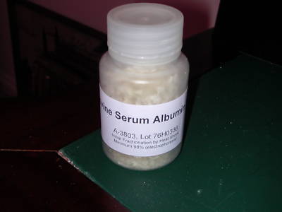 New bovine serum albumin (bsa) 25 g - from sigma