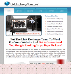 Profitable established internet business and website