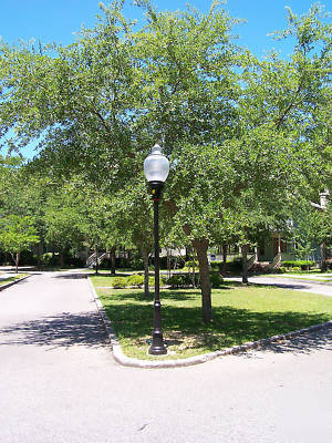 New 1EA street lamp (31