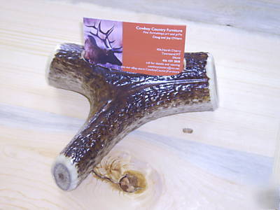 Elk horn antler business card holder