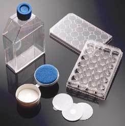 Bd biocoat cellware, poly-lysine, bd biosciences 354566
