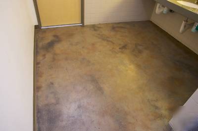 Acrylic water based concrete stain one gallon non acid.