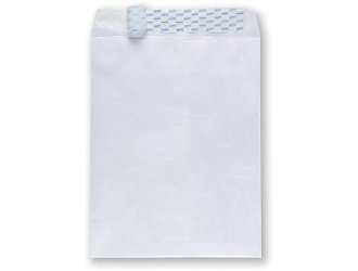 Tyvek envelopes 10