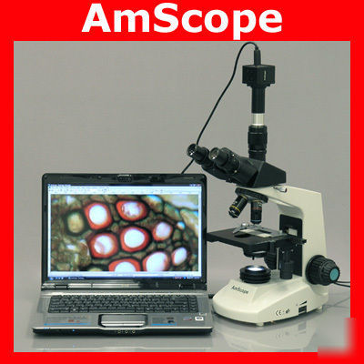 40X-2000X biological compound microscope + 8M camera