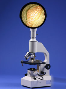 Clearance 40X-1000X projection teaching microscope
