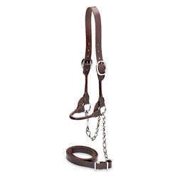 Chocolate round strap show halter â€“ cow/steer 