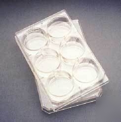 Bd falcon multiwell flat-bottom plates with lids