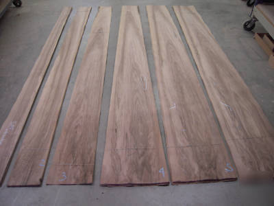 6 large premium bundles of french walnut veneer wood