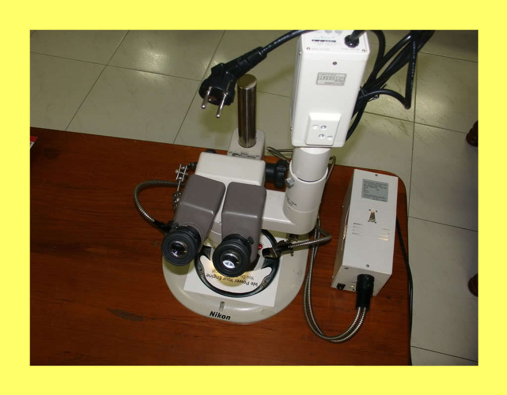Nikon smz-10A trinocular stereozoom microscope w camera